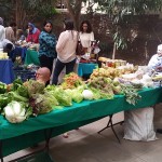 Photo: Jacob Wirtschafter/The Media Line