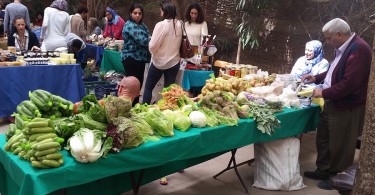 Photo: Jacob Wirtschafter/The Media Line