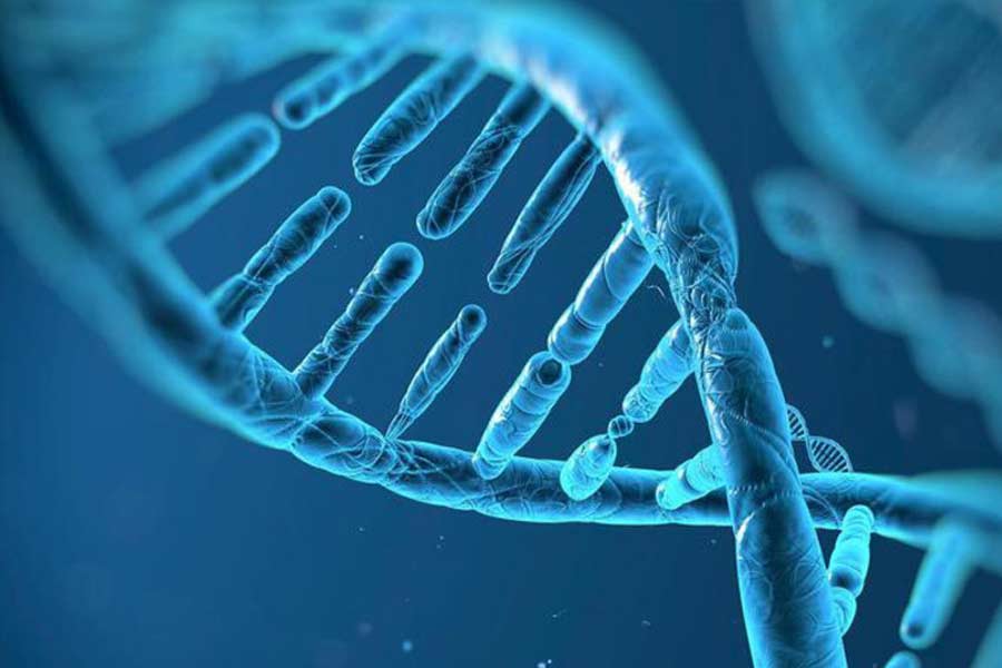 In humans hemophilia is a sex linked trait females